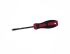 Викрутка S2 SL6*100мм HAISSER 49130(49130)