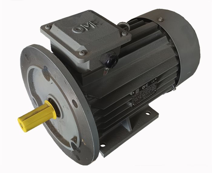 Електродвигун OMR 100L6 В35 IM2081 1000/2,2 комбінований, Італія