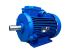 Електродвигун AIS 90L4 IM1081 1500/1,5 лапи Білорусь