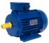 Електродвигун АИР 100L4 IM1081 1500/4,0 лапы, ЕКВІВЕС