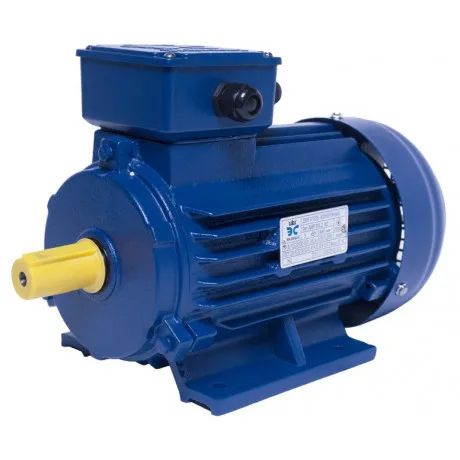 Електродвигун АИР 100S2 IM1081 3000/4,0 лапы, ЕКВІВЕС
