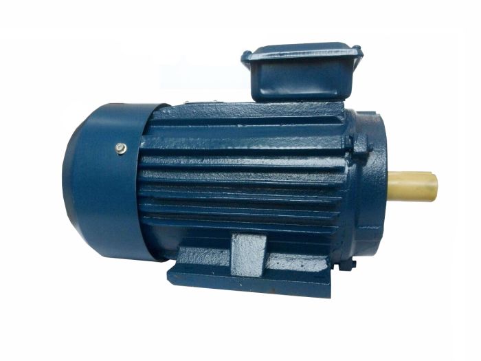 Електродвигун АИР 90 LB8 IM2081 750/1,1 комбінований Могильов