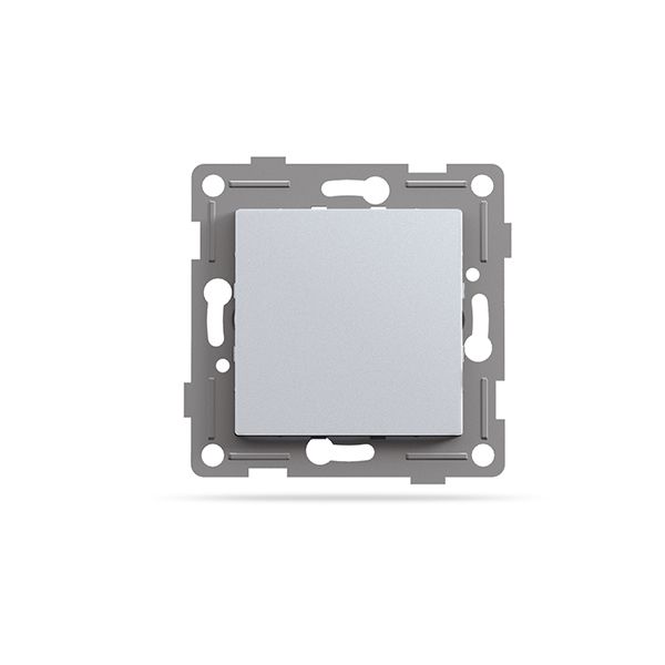 Заглушка для рамки срібний шовк VF-BNC-SS VIDEX BINERA(VF-BNC-SS)