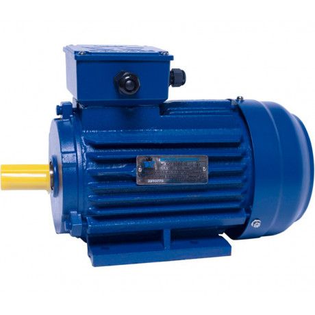 Ел. двиг. АИР 80А2 IM1081 3000/1,5 лапи., ЕКВІВЕС