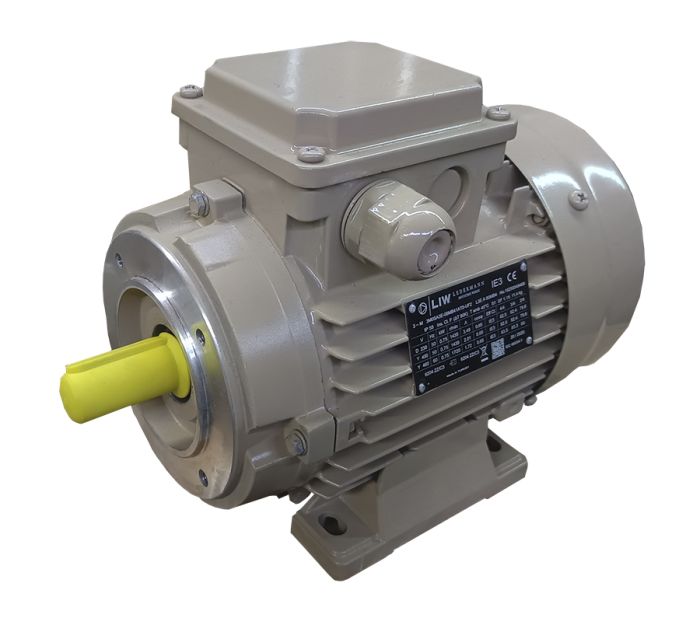 Електродвигун 3M0SA3E-08MB41CT0 В34 1500/0,75 IE3 LEDERMANN