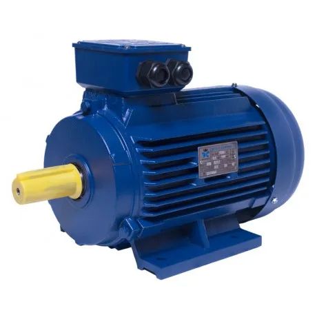 Електродвигун АИР 112М4 IM1081 1500/5,5 лапы, ЕКВІВЕС