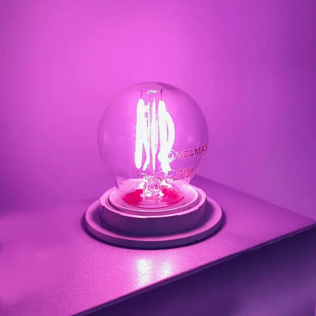 Лампа LED VELMAX V-Filament-G45, 2W, E27, фіолетовий, 200Lm(21-41-36)